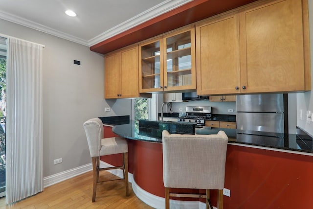 kitchen featuring crown molding, appliances with stainless steel finishes, light hardwood / wood-style floors, a kitchen bar, and dark stone counters