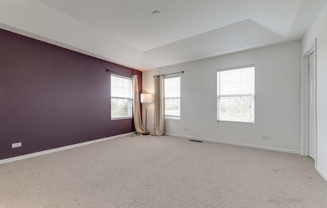 spare room with light colored carpet and a tray ceiling