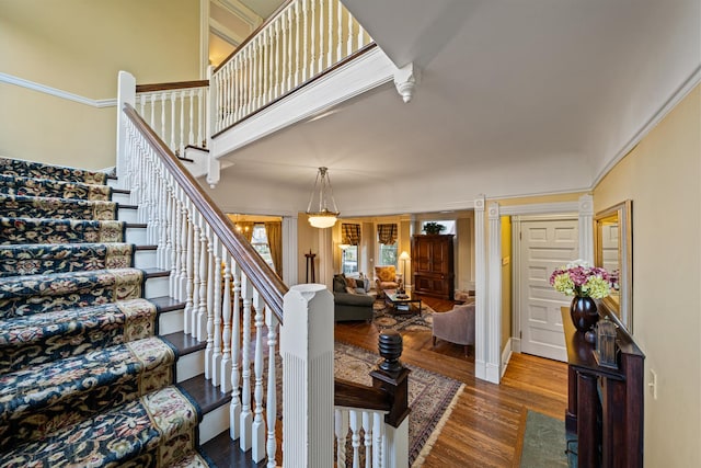 stairs with hardwood / wood-style floors and crown molding