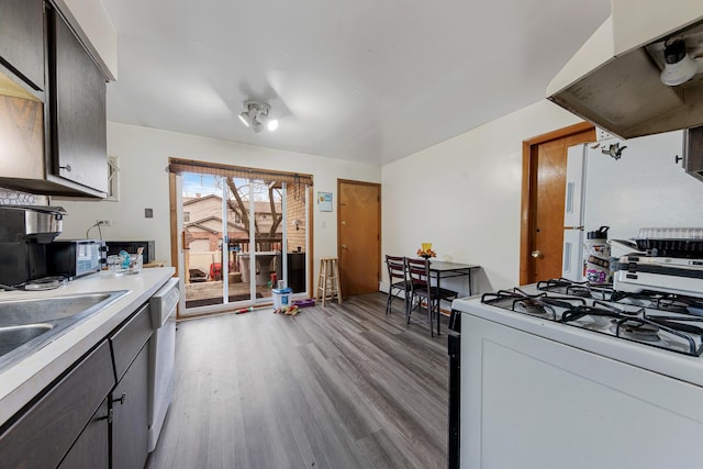 kitchen with sink, light hardwood / wood-style flooring, stainless steel dishwasher, gas range gas stove, and extractor fan