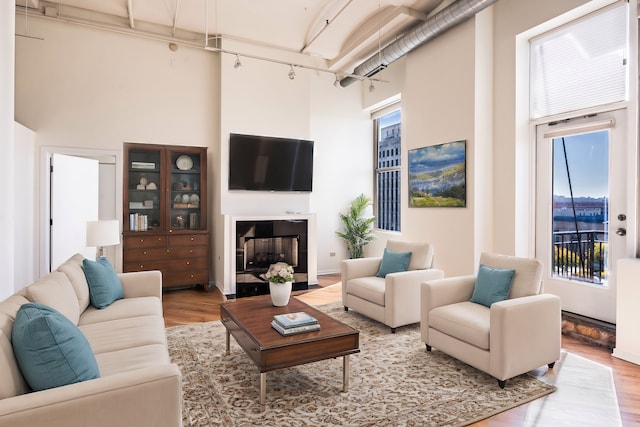 living room featuring a high ceiling and hardwood / wood-style flooring