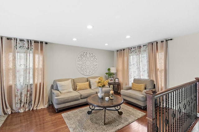 living room featuring dark wood-type flooring