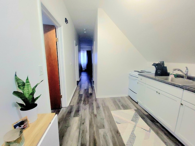 bonus room with vaulted ceiling with skylight and light hardwood / wood-style flooring