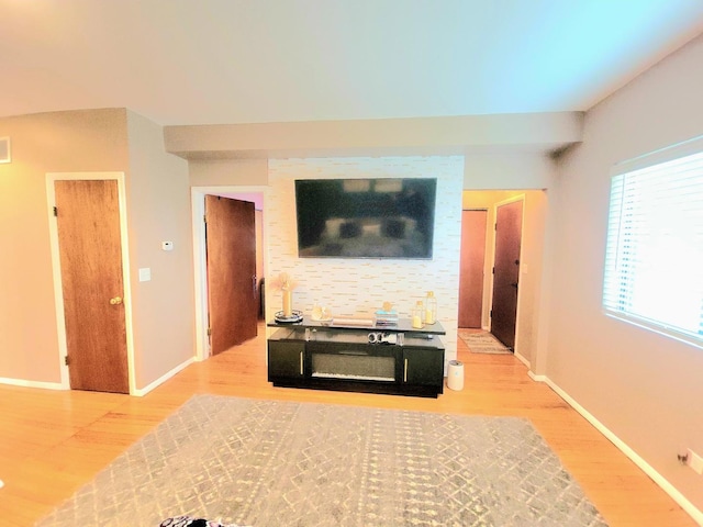 living room with hardwood / wood-style floors