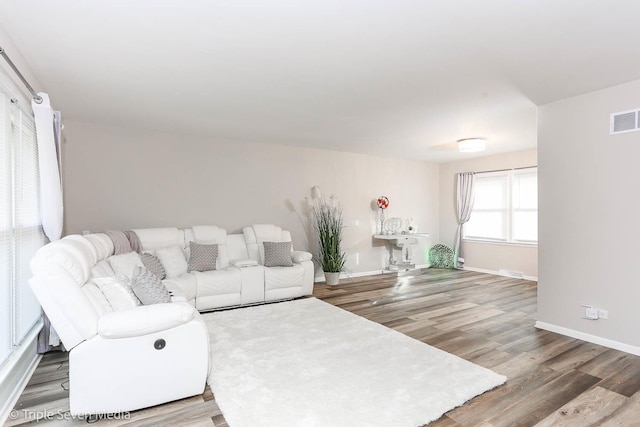 living room featuring hardwood / wood-style floors