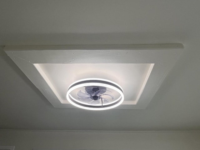 details featuring a tray ceiling