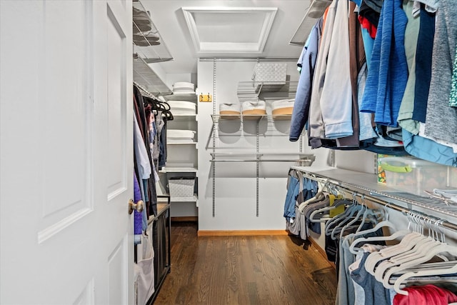 spacious closet featuring dark hardwood / wood-style flooring