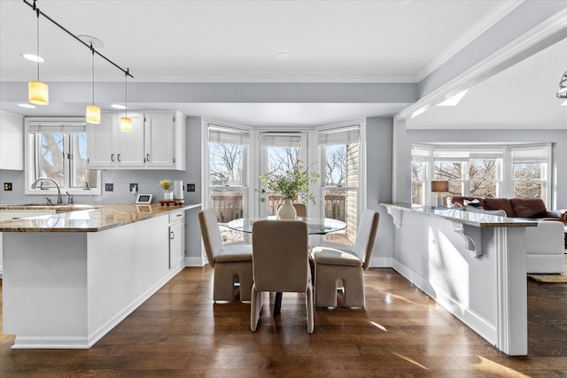 dining area featuring sink, crown molding, dark hardwood / wood-style floors, and plenty of natural light