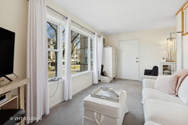 living room featuring light colored carpet