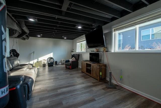 basement with hardwood / wood-style floors