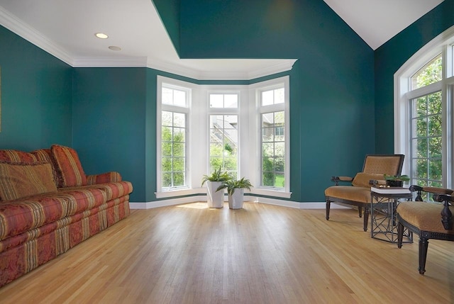 living area featuring crown molding, light hardwood / wood-style floors, and a wealth of natural light