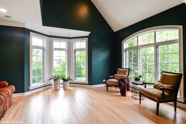 sitting room with high vaulted ceiling, a healthy amount of sunlight, and light hardwood / wood-style floors