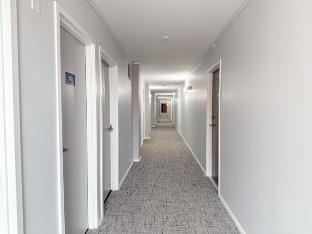 hallway featuring light carpet