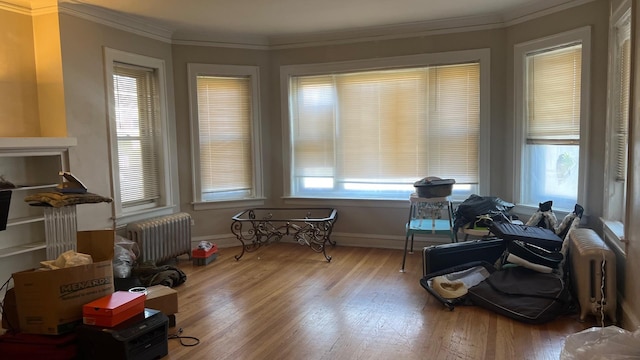 sitting room featuring radiator heating unit, light wood-type flooring, and ornamental molding