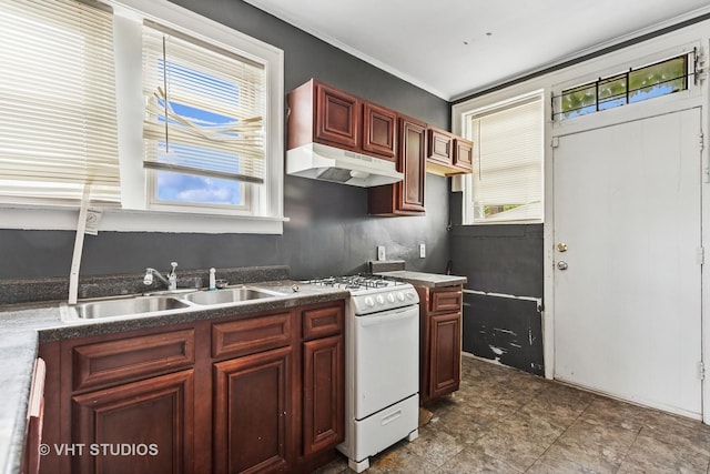 7730 S E End Ave, Chicago, IL 60649 - kitchen featuring under cabinet range hood, white gas stove, a sink, dark countertops, and dark brown cabinets