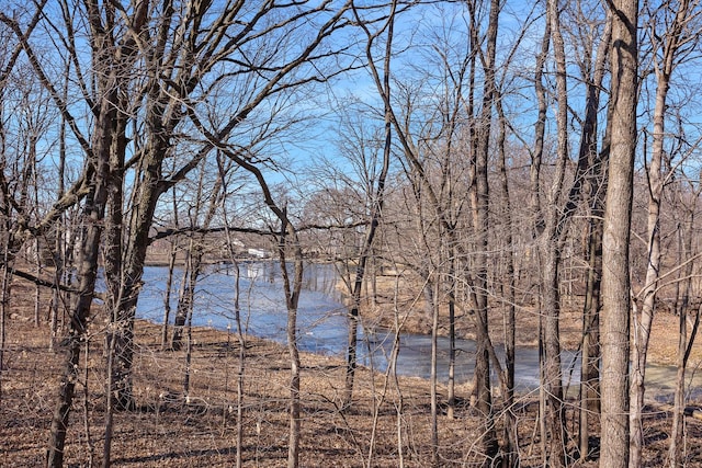 property view of water featuring a forest view