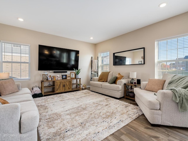 living room with hardwood / wood-style floors and plenty of natural light