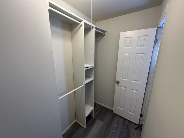 spacious closet featuring dark wood-type flooring