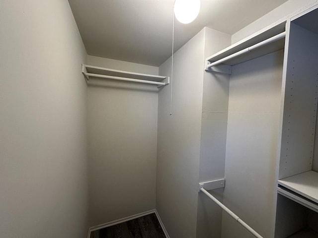 walk in closet featuring dark hardwood / wood-style floors