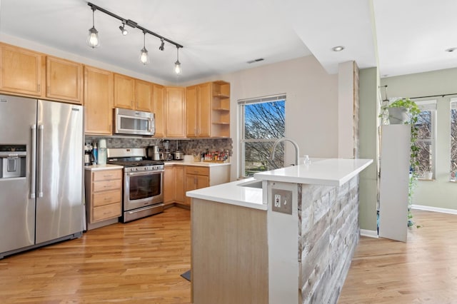 kitchen featuring plenty of natural light, sink, appliances with stainless steel finishes, and light hardwood / wood-style flooring