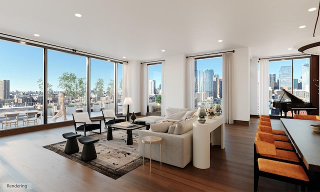 living room featuring dark hardwood / wood-style flooring, expansive windows, and a healthy amount of sunlight