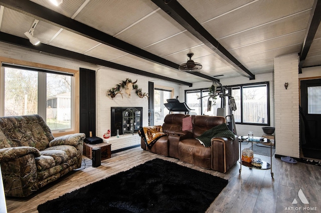 living room featuring ceiling fan, beamed ceiling, a healthy amount of sunlight, and hardwood / wood-style flooring