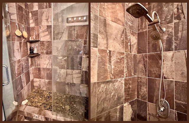 interior details featuring walk in shower