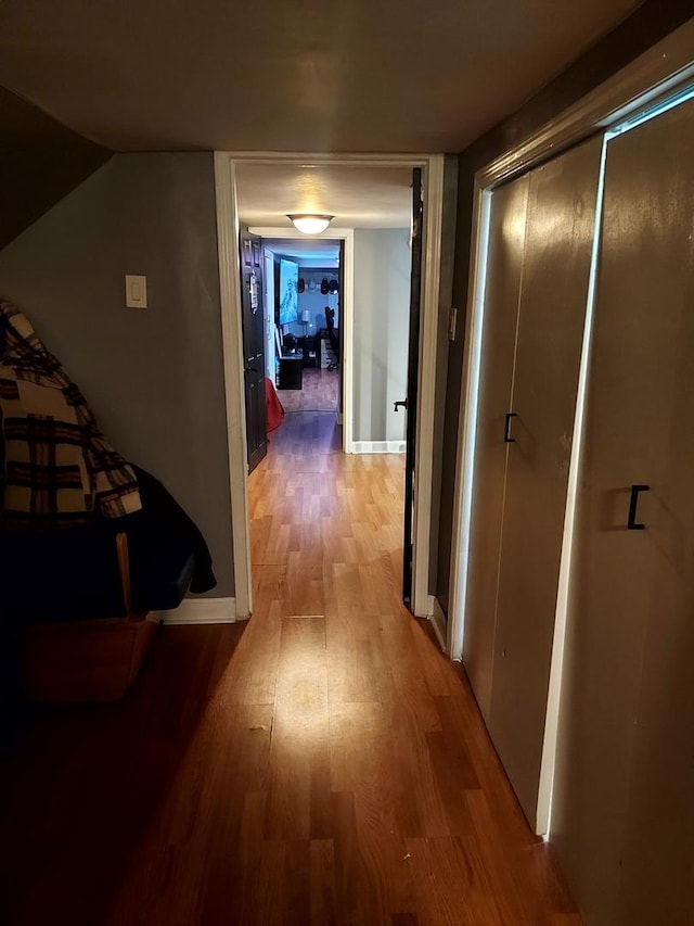 hallway featuring wood-type flooring