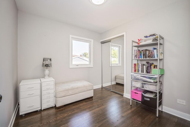 living area with dark wood-type flooring