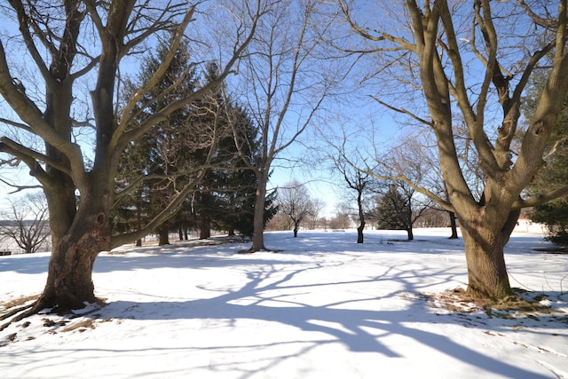 view of yard layered in snow