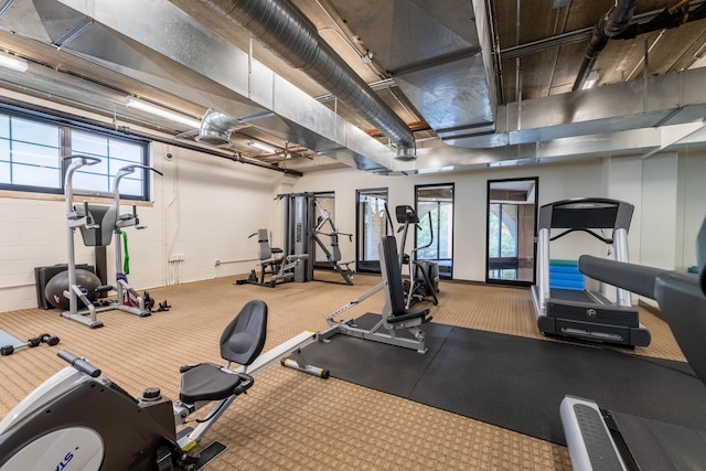 gym featuring carpet