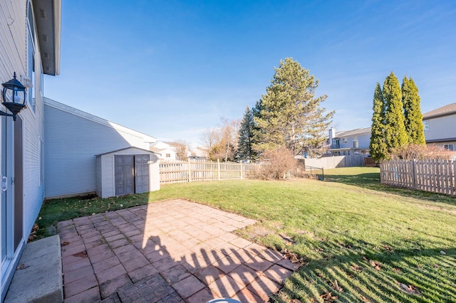 view of yard with a patio area and a storage unit