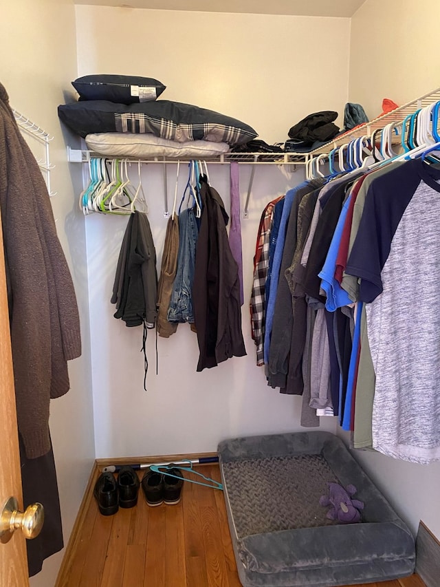 walk in closet with wood-type flooring