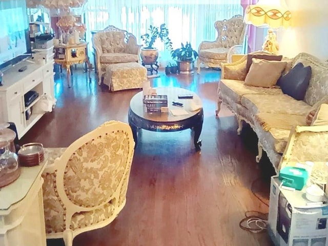 living room featuring dark hardwood / wood-style flooring