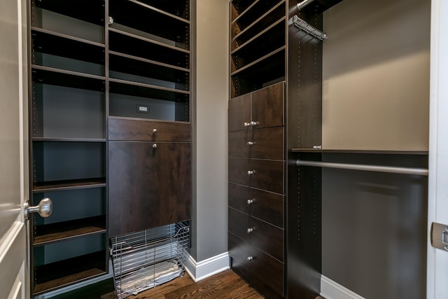 walk in closet with dark hardwood / wood-style flooring