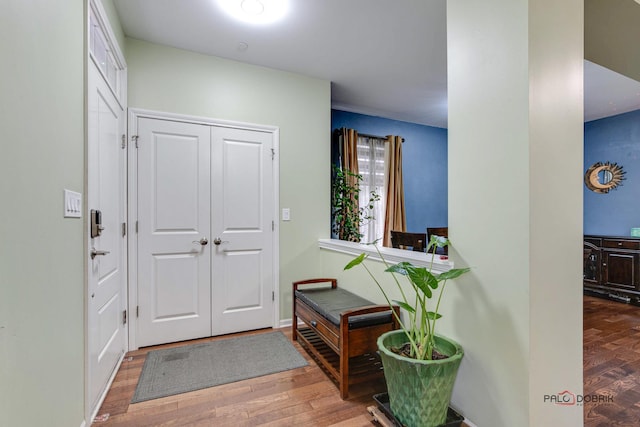 entrance foyer featuring wood-type flooring