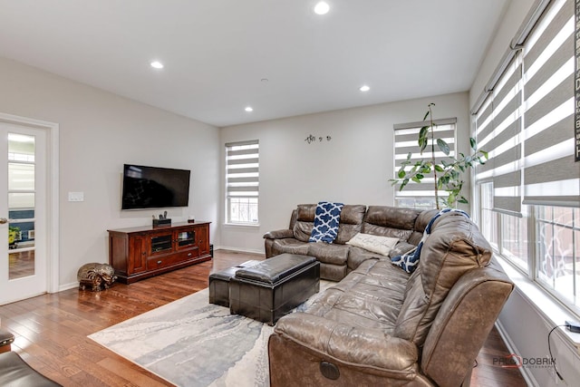 living room with hardwood / wood-style floors