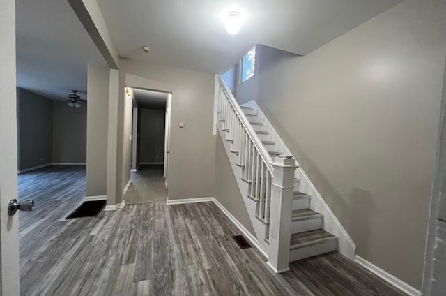 stairway featuring ceiling fan and hardwood / wood-style floors