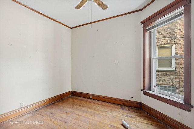 unfurnished room featuring ceiling fan, light wood-type flooring, and crown molding