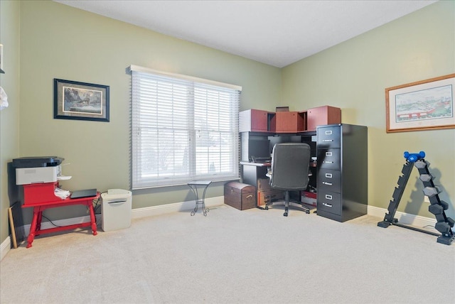 carpeted office space with a wealth of natural light