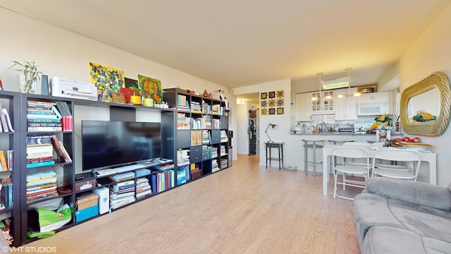 living room with light hardwood / wood-style floors