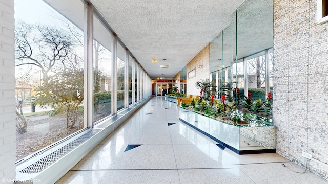 hall with floor to ceiling windows