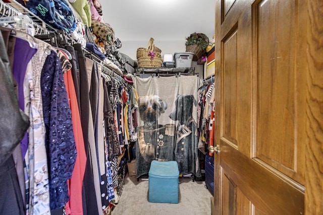 walk in closet featuring light colored carpet