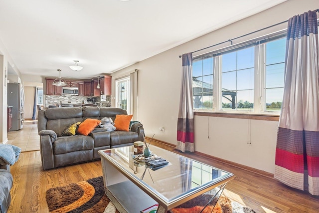 living room featuring light hardwood / wood-style floors