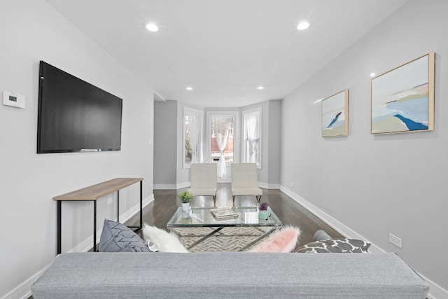 living room featuring dark wood-type flooring