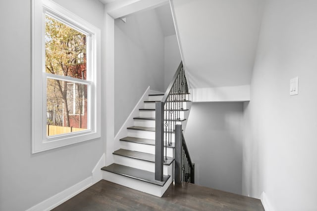 stairs featuring hardwood / wood-style floors and a healthy amount of sunlight