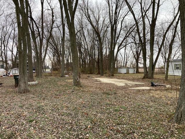 1065 W Main St, Braidwood IL, 60408 land for sale