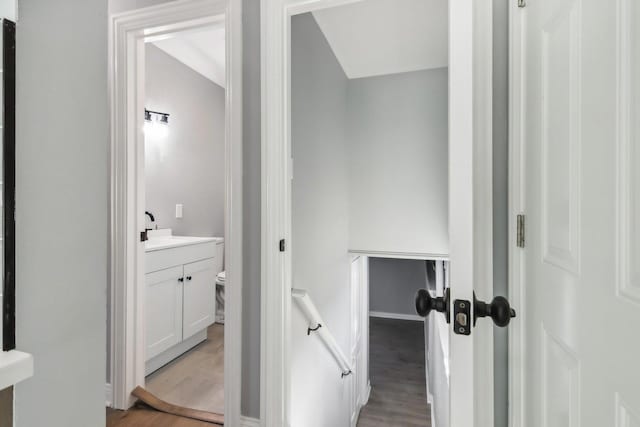 bathroom with vanity, hardwood / wood-style flooring, and toilet