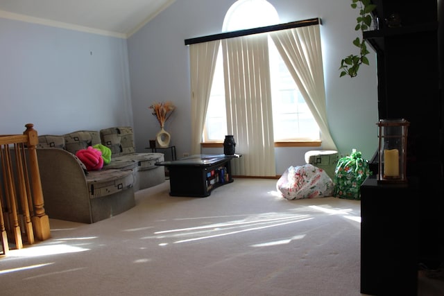 interior space featuring crown molding and vaulted ceiling