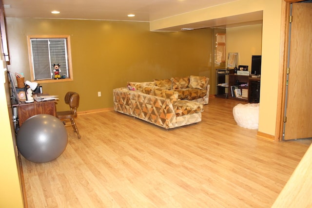 living room featuring light hardwood / wood-style floors